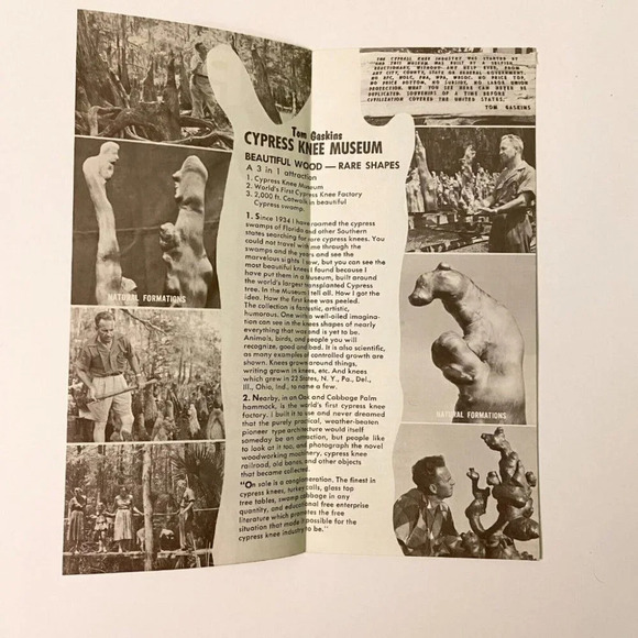 Vintage 1960s Busch Gardens Cypress Knee Museum Gardens Brochures Pamphlets - Picture 10 of 10